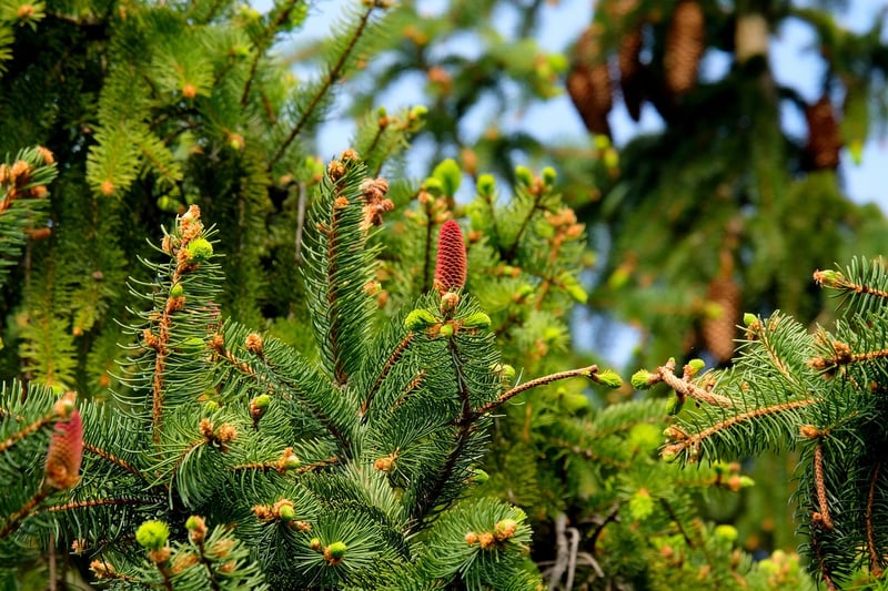 Sustainable outdoor decor